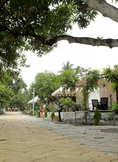 Viraaya Gir Resort, gir resort, Sasan Gir Hotels and Resorts